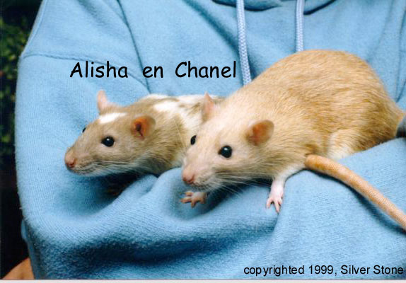 Chanel en Alisha